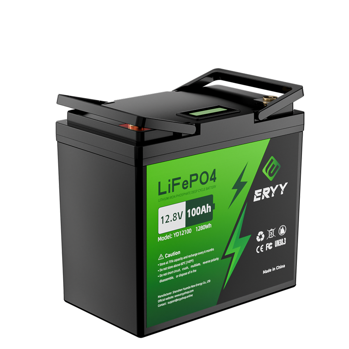 ERYY 12V 100AH LiFePO4 Battery