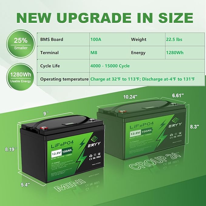 ERYY 12V 100AH LiFePO4 Battery