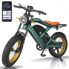 App Control 1200W/48V/20Ah Electric Bicycle